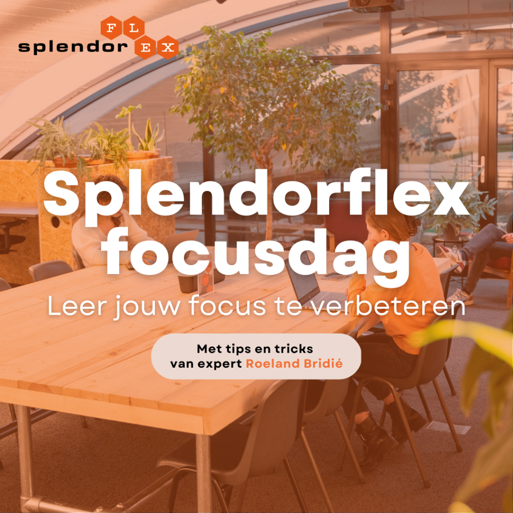 Splendorflex focus dag